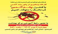 فرهنگسرای شهدای دوراهی ایسینی برگزار می نماید:کارگاه پیشگیری از وفور پشه آئدس